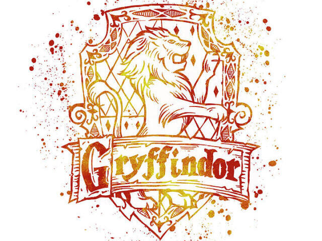 GRIFINDOOR💖🦁