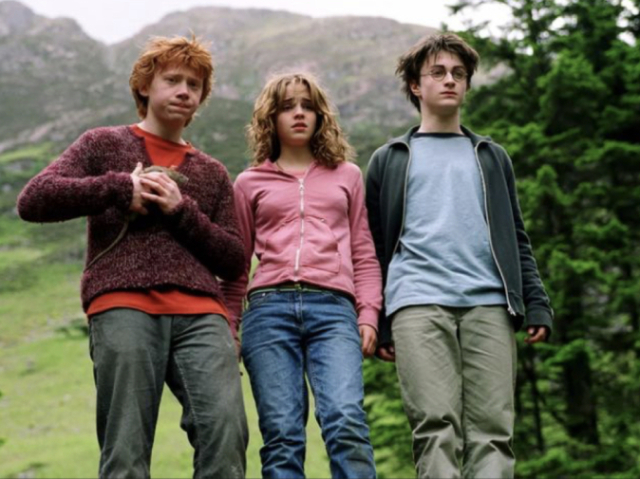 golden trio (hermione, rony e harry?