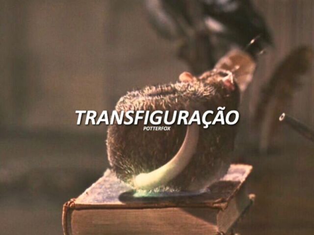 Transfiguração