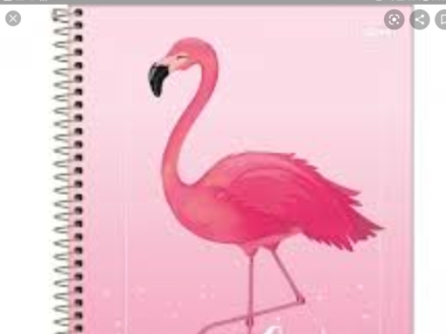 As coissas ficam cada vez .....
Mais rosa kkkkk