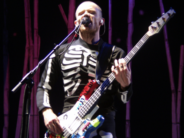 Flea