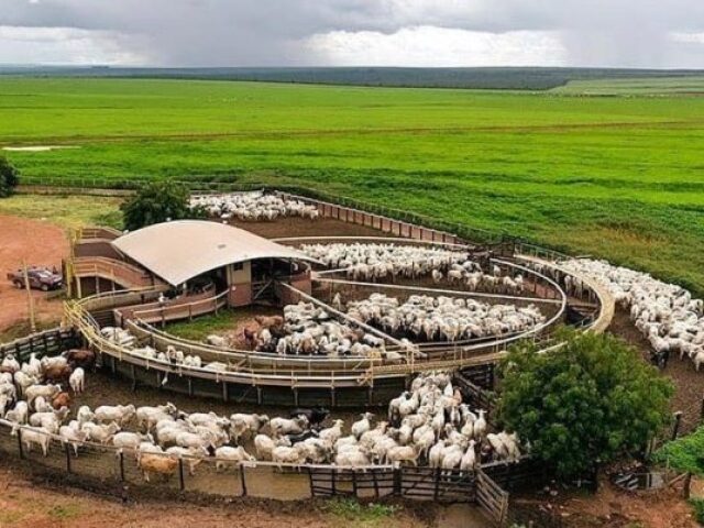 Fazenda Grande!🤩