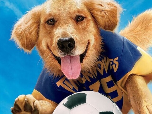 AIR BUD