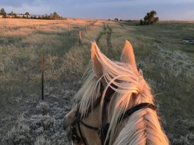 Andar de cavalo