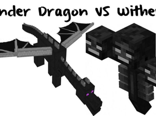 Ender Dragon/Wither