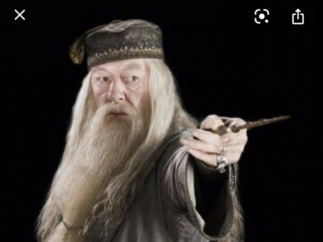 Albus Dumbledore