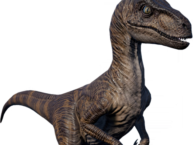 Velociraptor