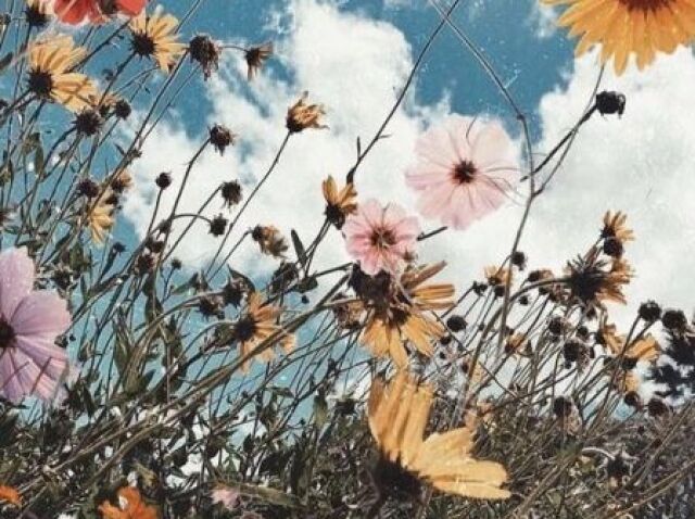Monte sua sessão de fotos Aesthetic