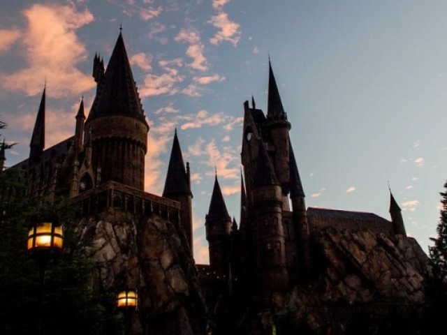 Seu primeiro ano em Hogwarts