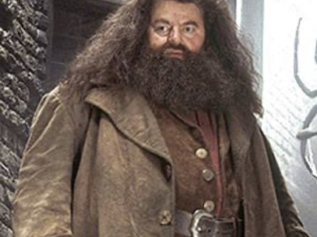 Rúbeo Hagrid