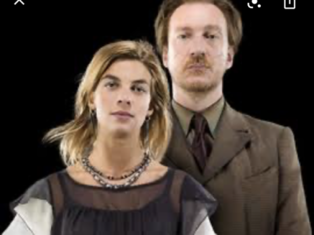 Ninfadora tonks e remus lupin