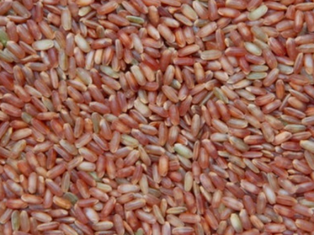 Arroz da terra