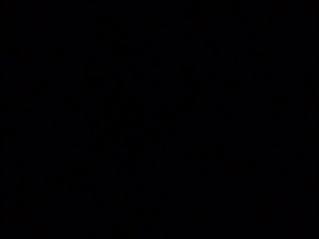 Não tenho Instagram mas vou pedir aos meus amigos e familiares para te seguirem