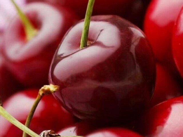 Cereja🍒🍒🍒