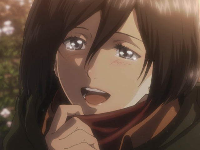 Mikasa