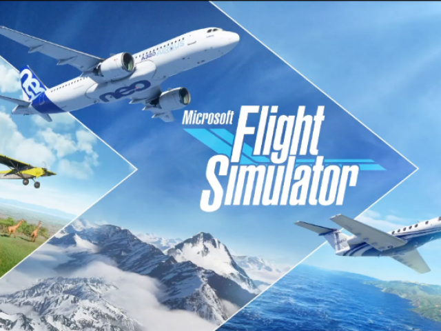 Microsoft Flight Simulator