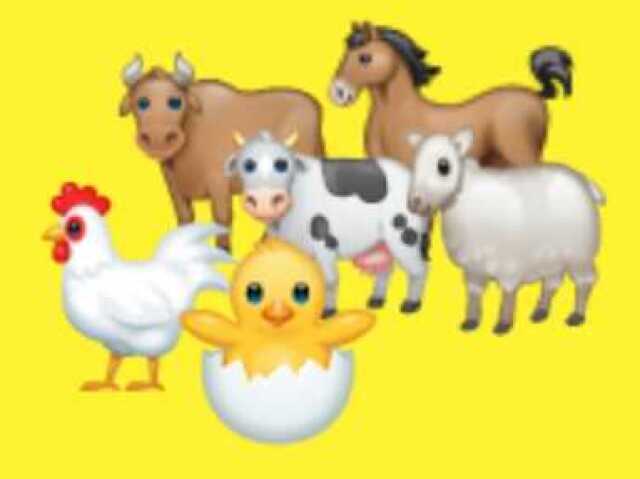 Cheia de animais