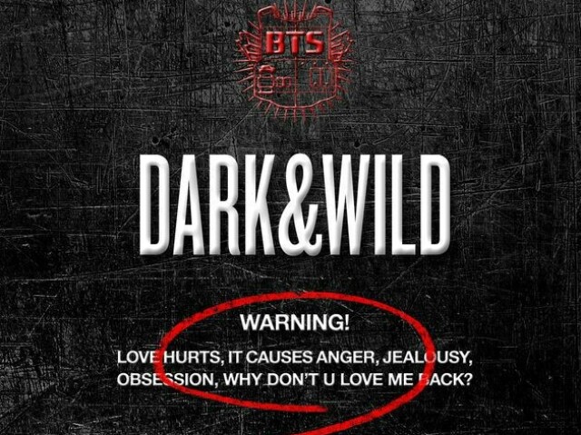 Dark & Wild/ BE