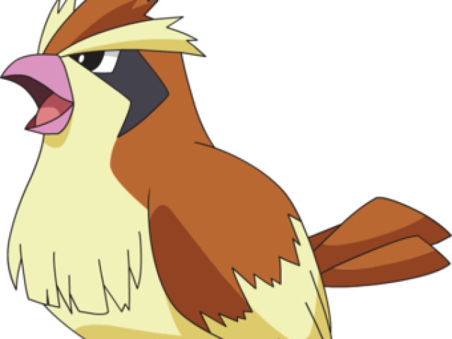 Pidgey