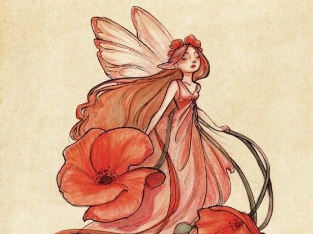 🌷Fada🌷