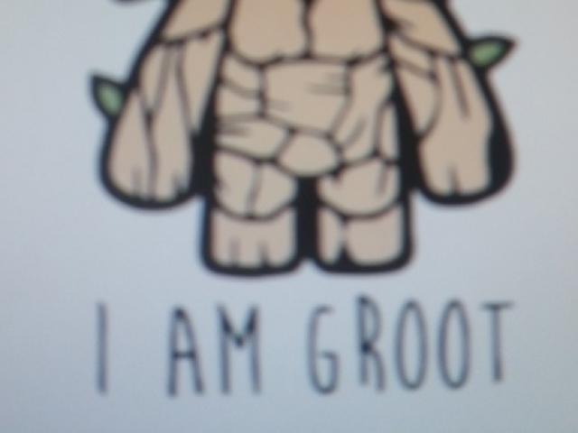 EU SOU GROOT