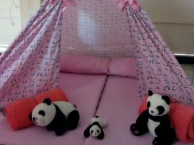 De panda