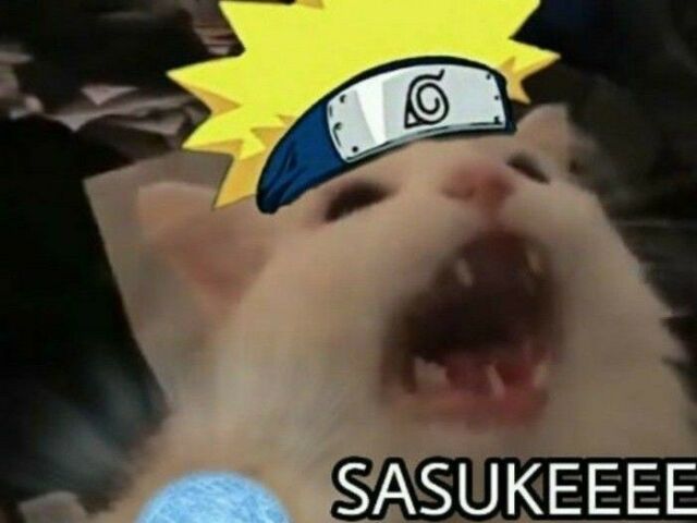 Narutro Uzumake o prosimo Hokague