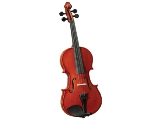 Violino