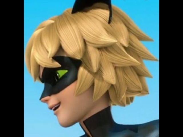 Cat Noir