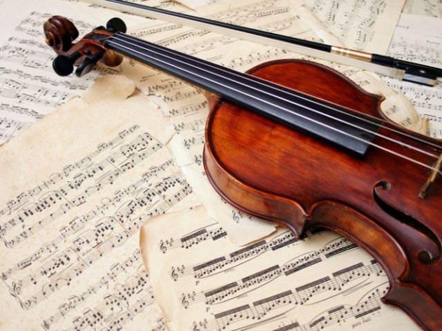 Violino