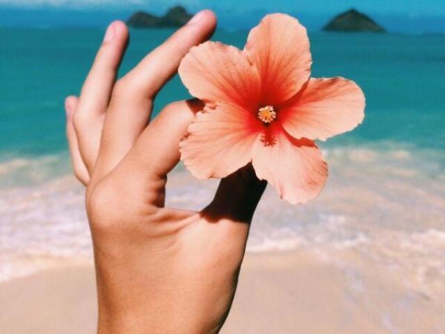 Qual seu tipo tumblr?