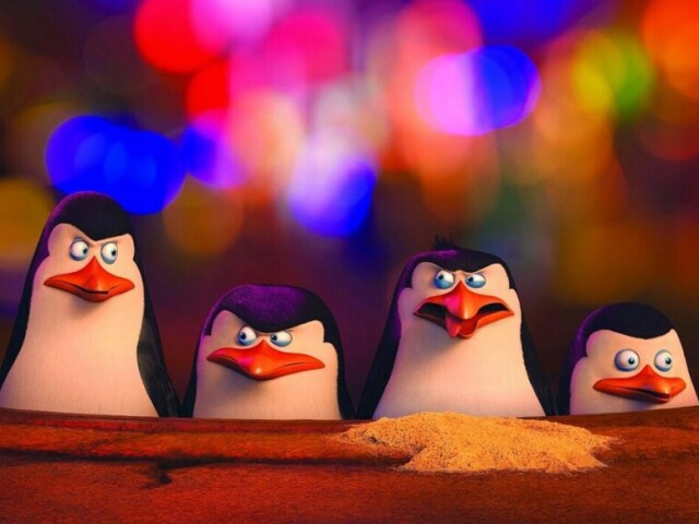 Pinguins de magadascar