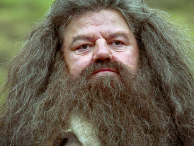 Rubeus Hagrid