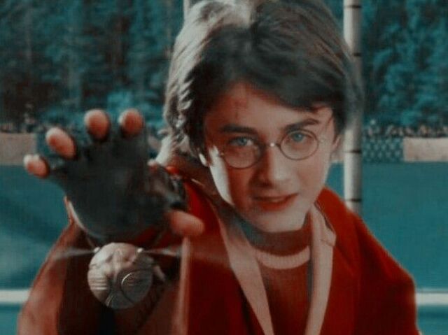 Qual personagem de HP combina com você?