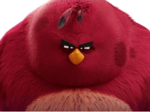 Terence