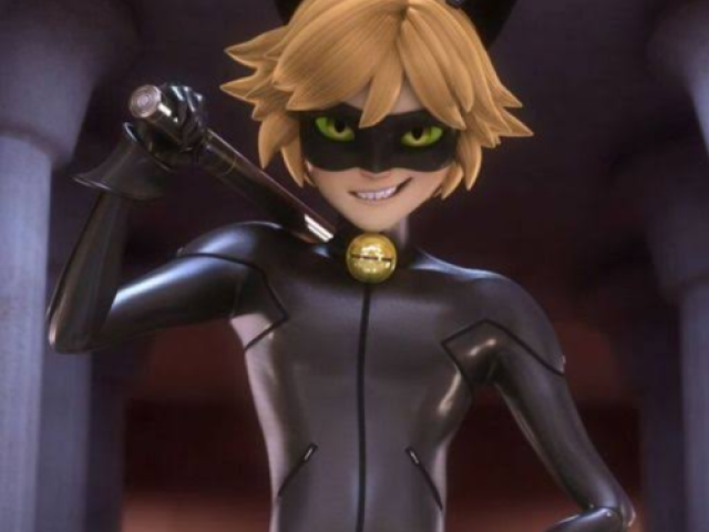 Cat noir