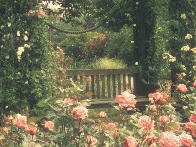 no jardim