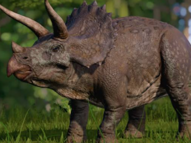 Triceratops