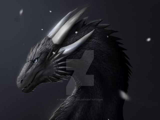 Dragão Das Sombras