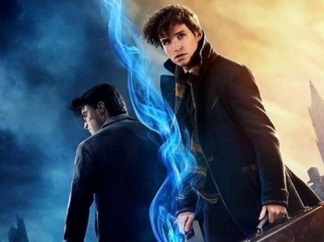 Você ė mais Harry Potter ou Animais Fantásticos?