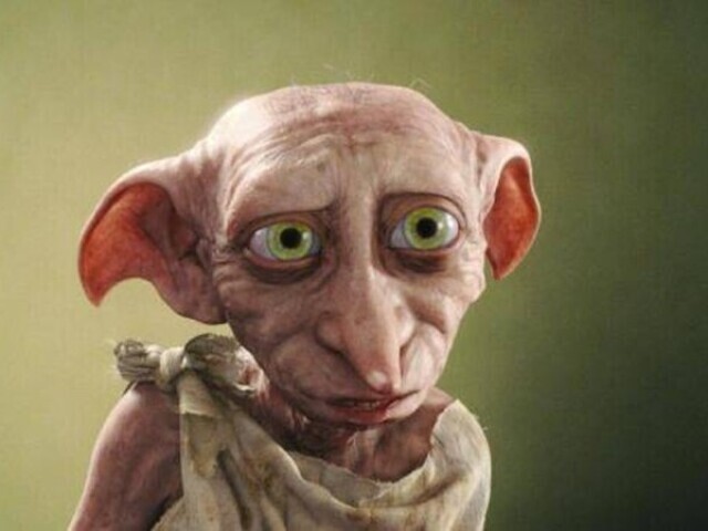 ELFO DOMESTICO (dobby)