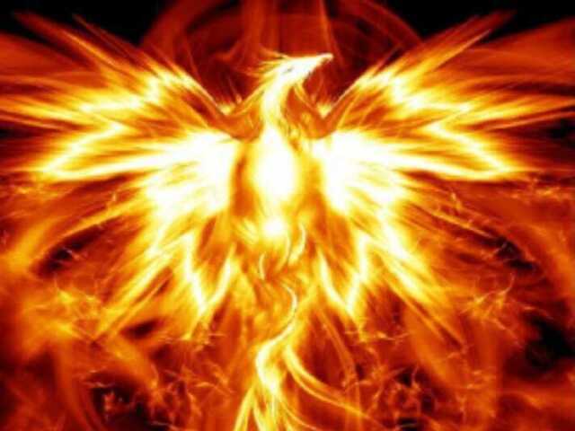FENIX