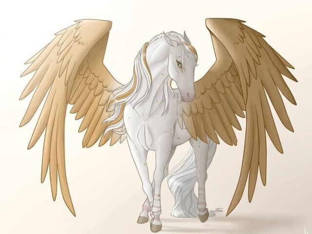 CAVALO ALADO