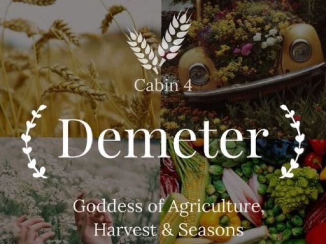 Chalé 4 Demeter