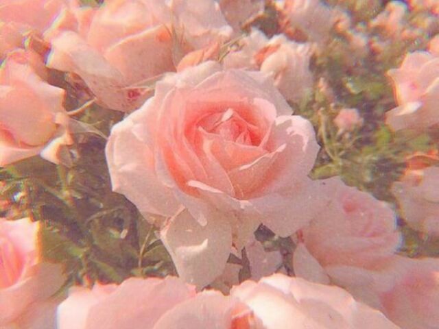 ✨Escolha uma imagem e te recomendarei uma música do BTS✨