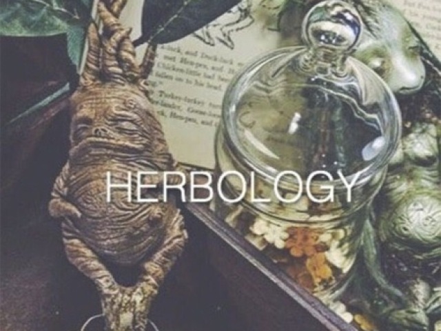 Herbologia