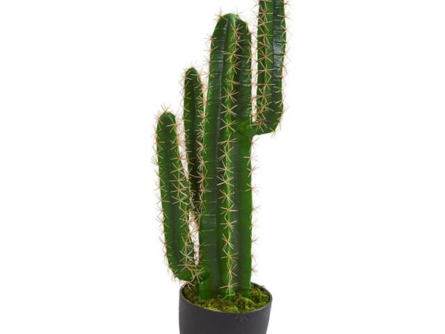 Spike