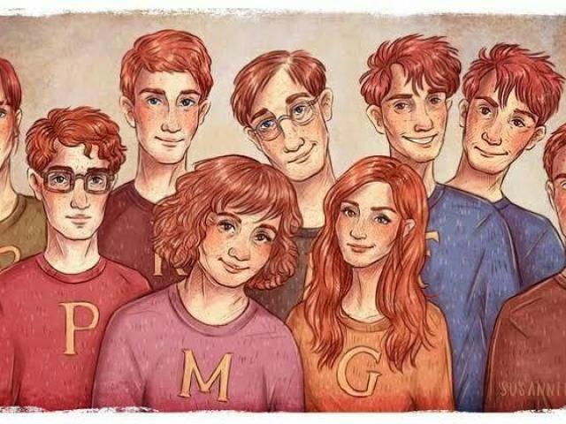 Qual Weasley você seria?