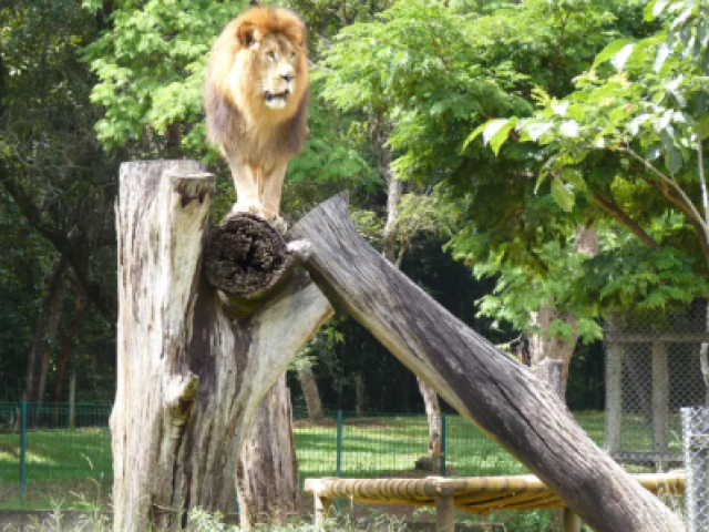 No zoológico