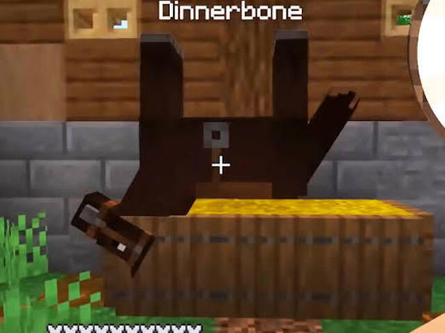 Dinnerbone